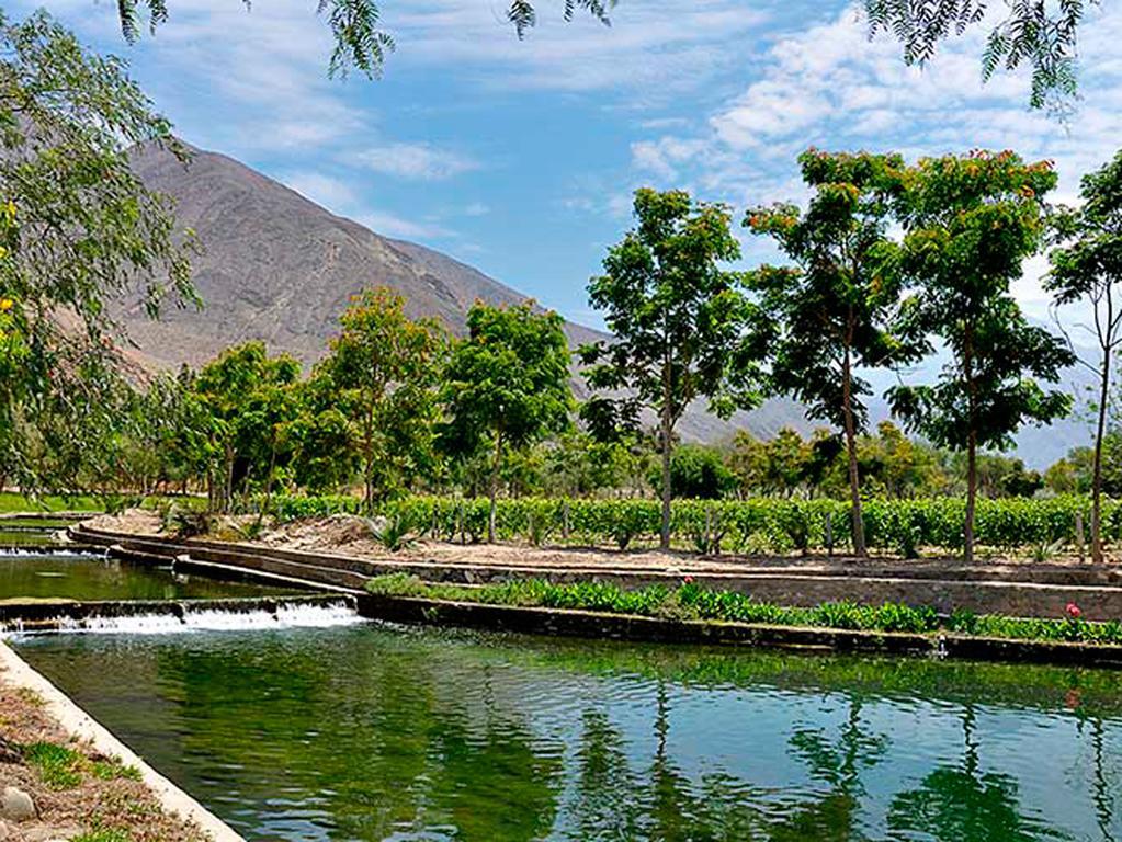 Guizado Portillo Hacienda & Resort Lunahuaná Eksteriør bilde